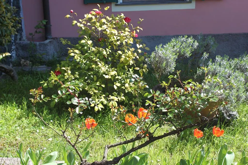 Ferienwohnung Le Ginestre Levanto 0*,